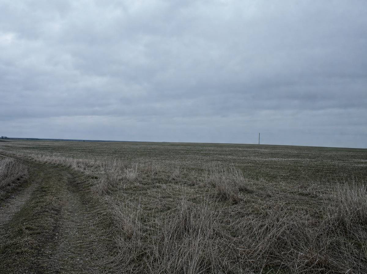 Otwarte pole z widoczną linią horyzontu i polną ścieżką, przestrzeń rozszerzająca pole widzenia